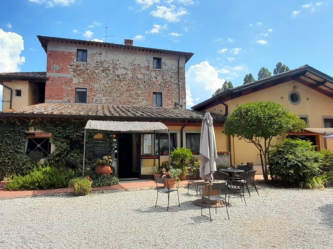 Podere Violino主图