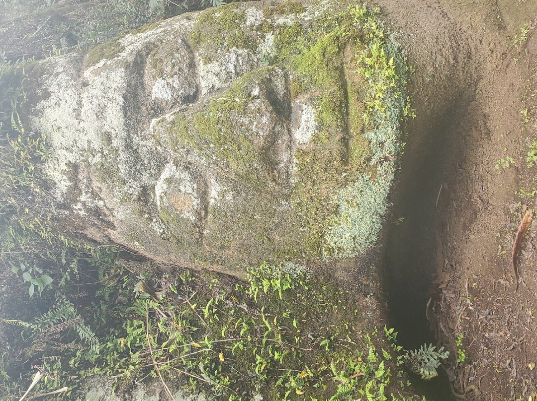 Asilo de la Paz-Floreana必去景点