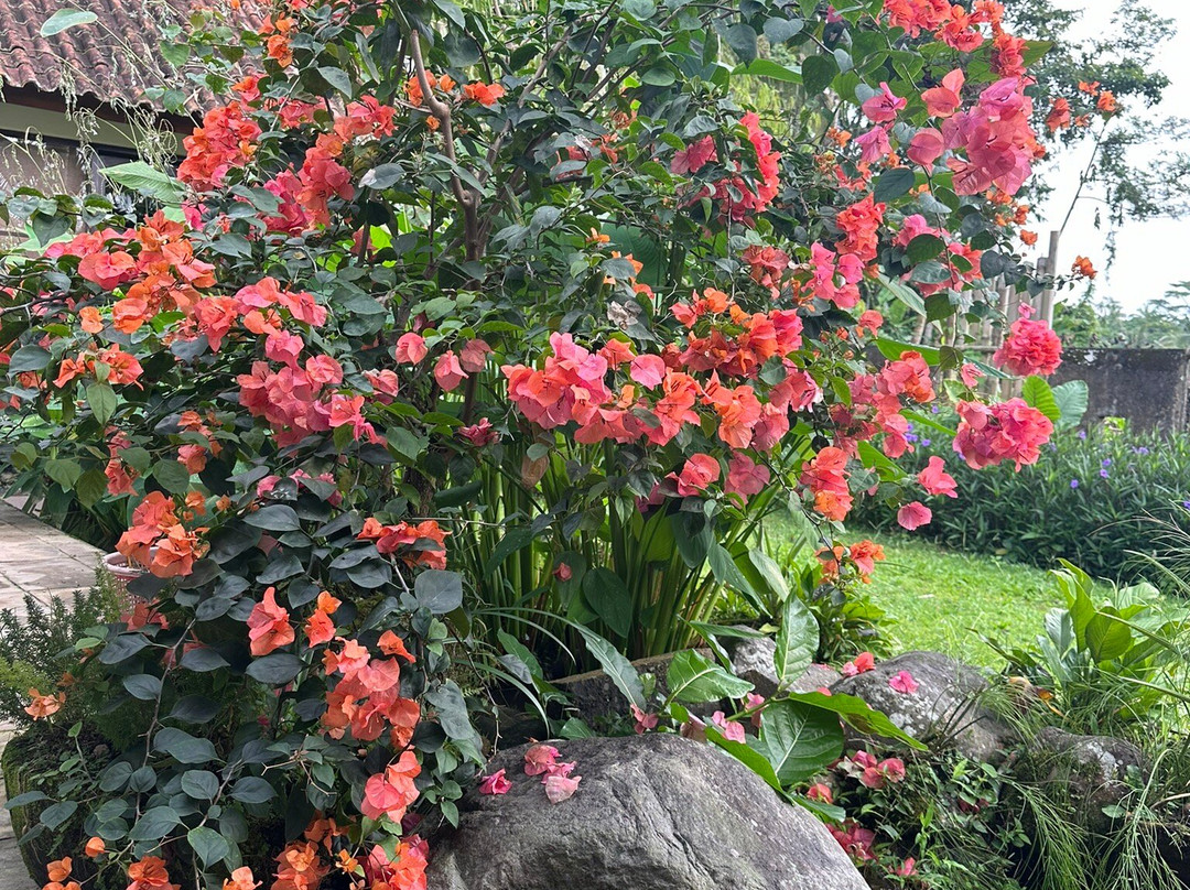 芭雅德别墅酒店主图