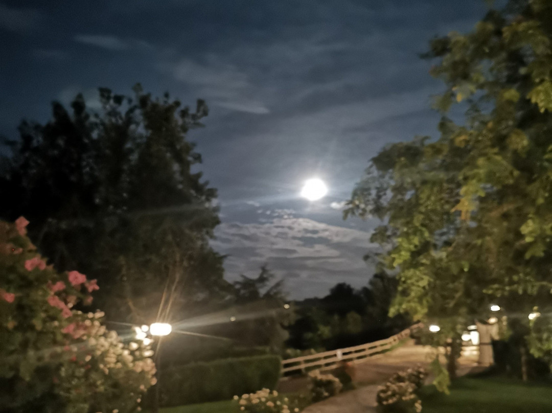 Agriturismo Bricco San Giovanni主图