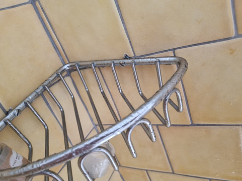 Orchidea 酒店主图