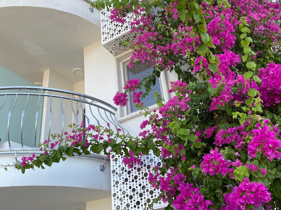 La Brezza Suite & Hotel主图
