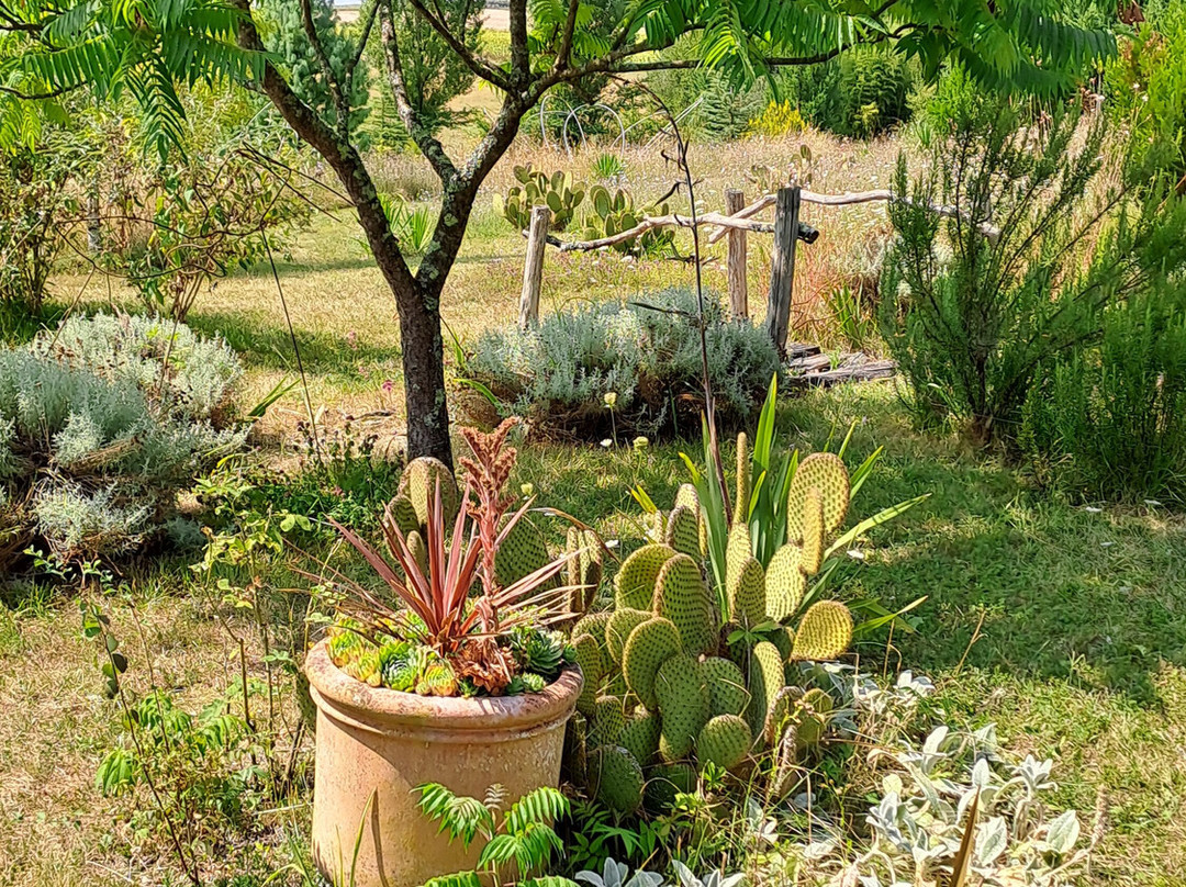 Les jardins du Coq景点图片