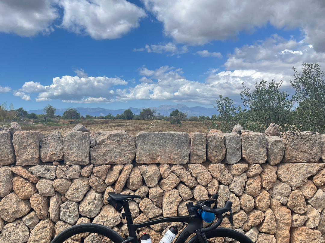 Pinarello Experience-波连萨必去景点