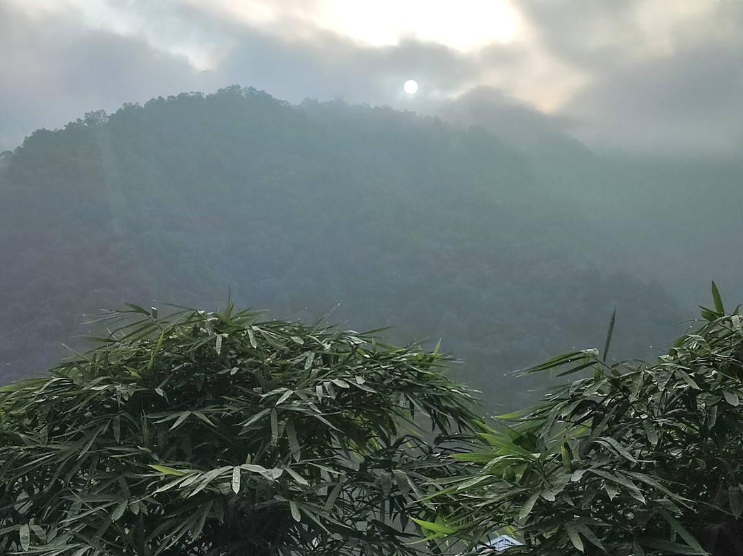 Veda5 Ayurveda & Yoga Retreat主图