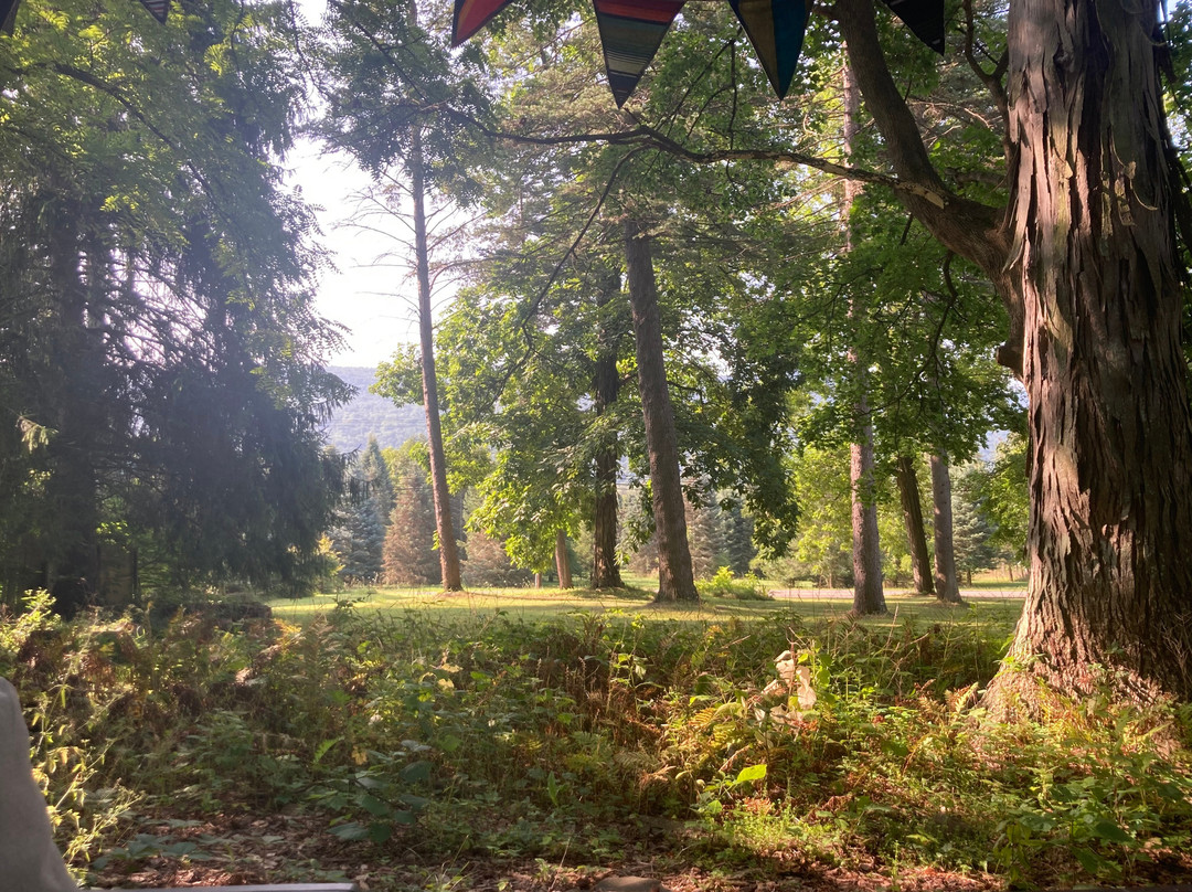 The Black Sheep Inn And Spa主图