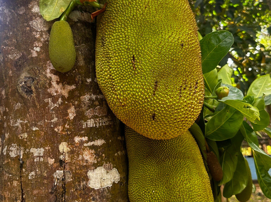 ZanTours Ltd-桑给巴尔市必去景点