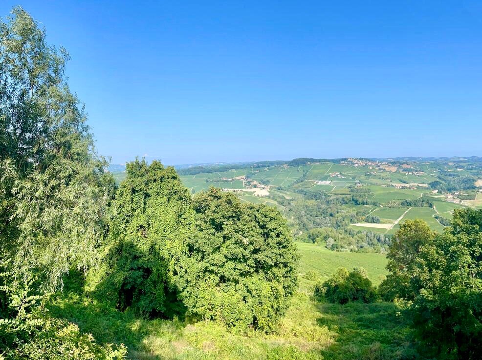 Casa Barbabuc-官方