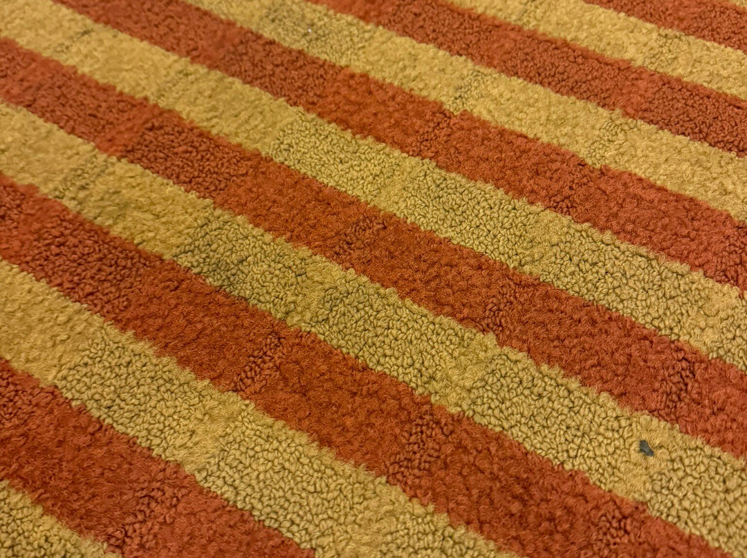 里士满南/南方公园希尔顿花园旅馆主图