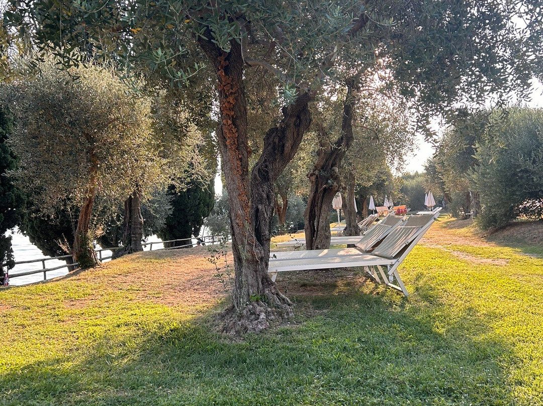 Parco San Vigilio景点图片