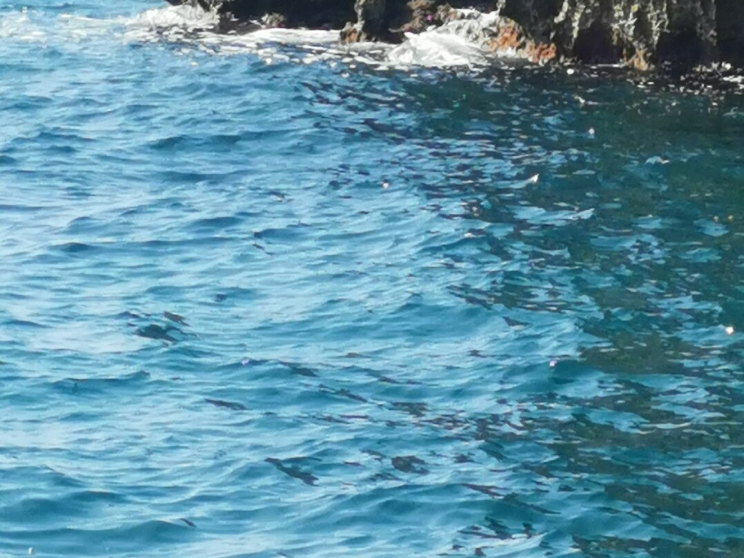 Villa Santa Maria - Luxury Villa主图