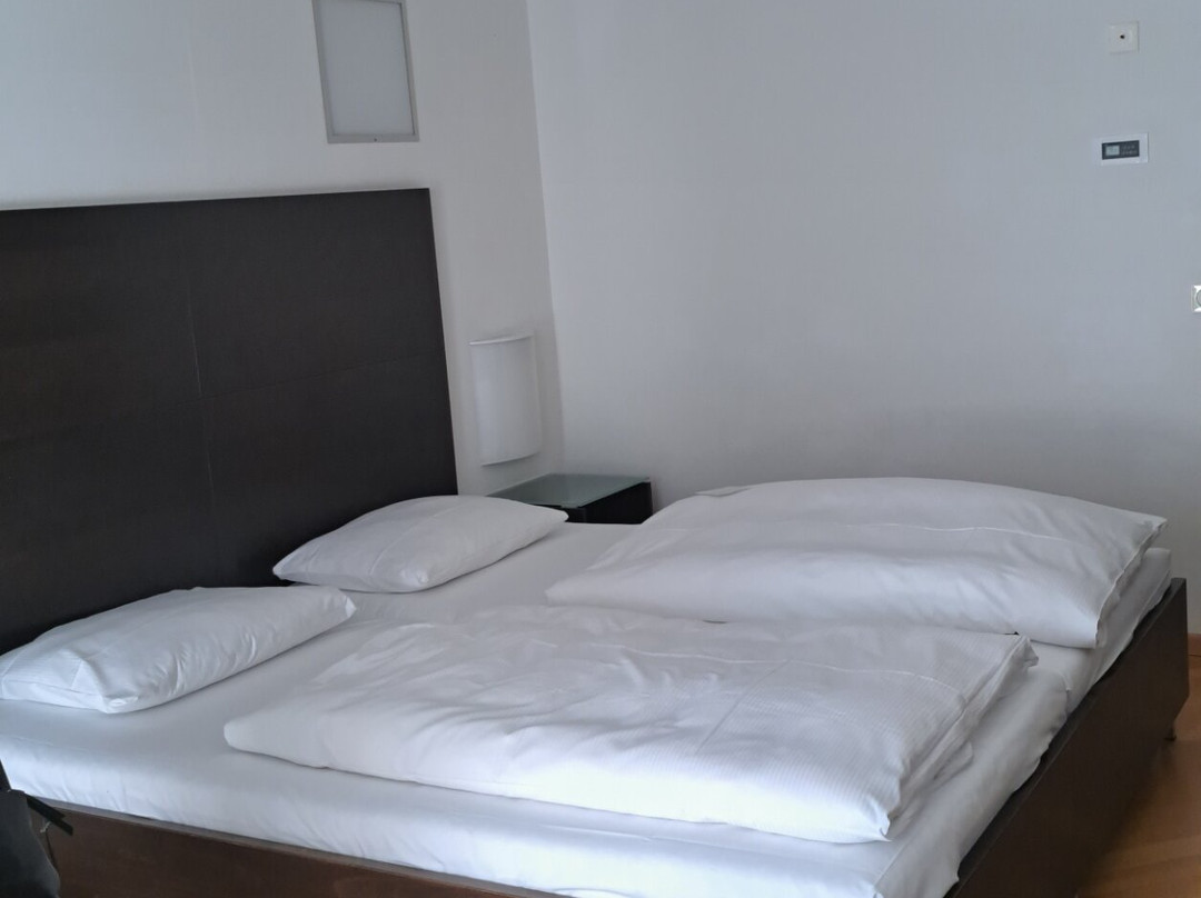 AllgäuSternHotel主图