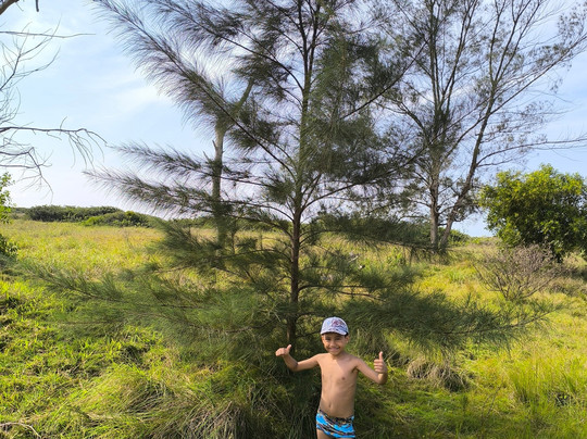 Santa Clara Beach-Sao Francisco De Itabapoana必去景点