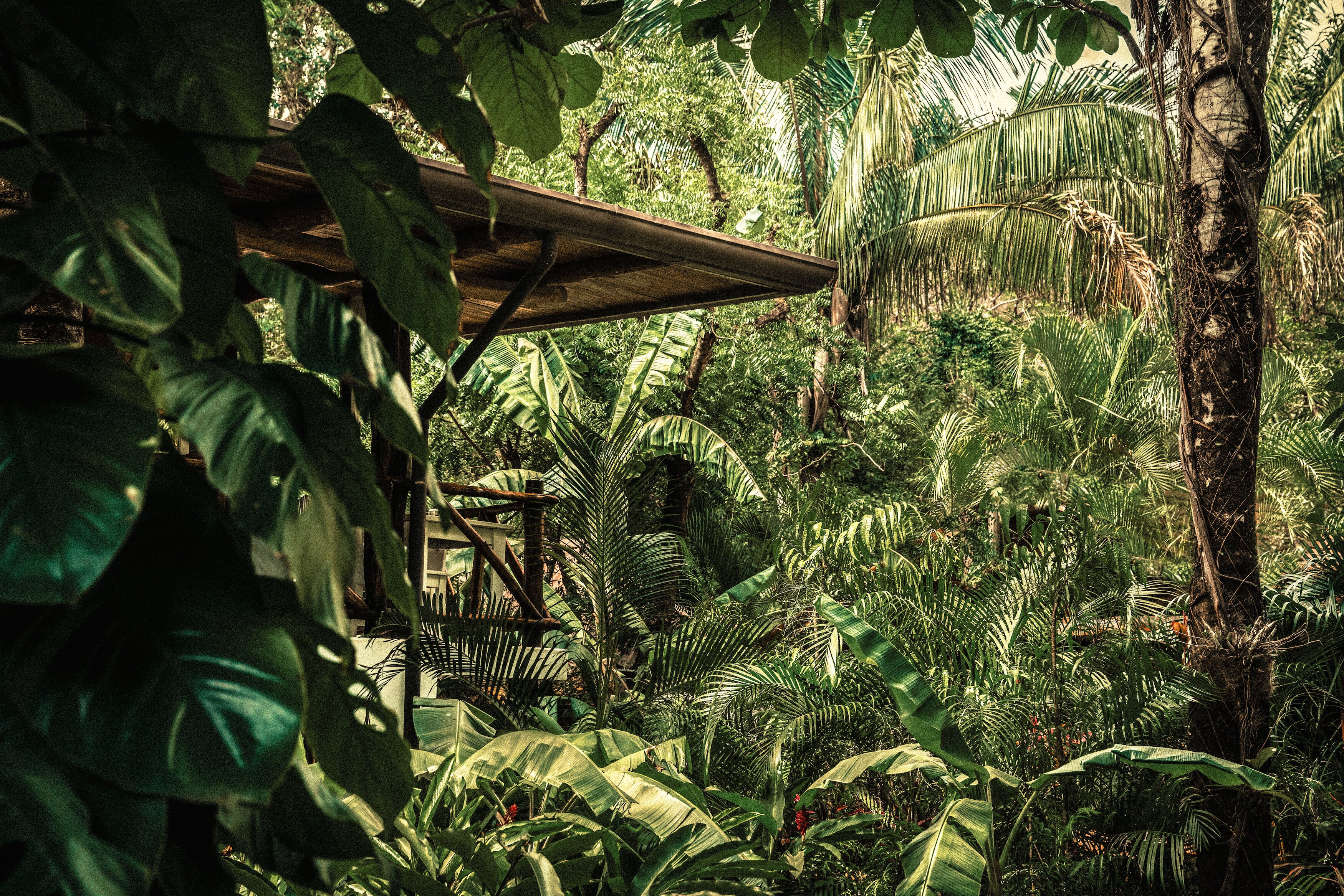 Hotel Guiones-浴室