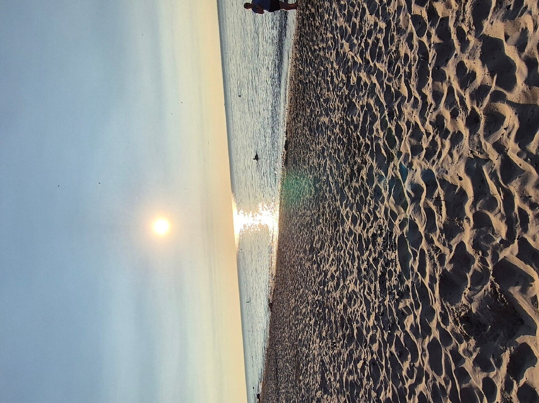 Ostsee-Stein景点图片