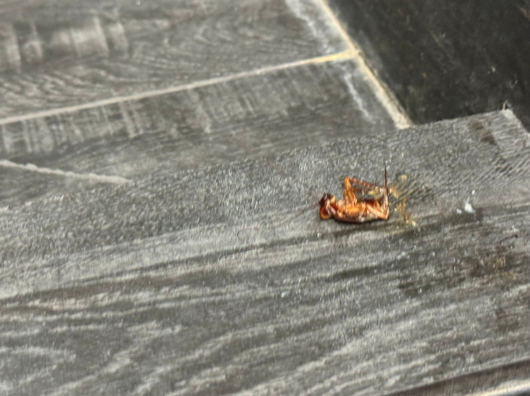 Morra's Home B&B主图