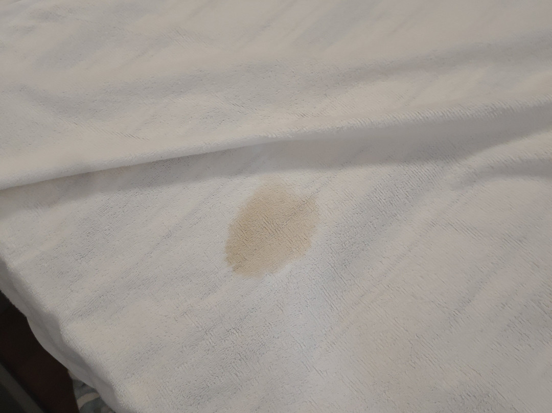 The Coach House Hotel主图