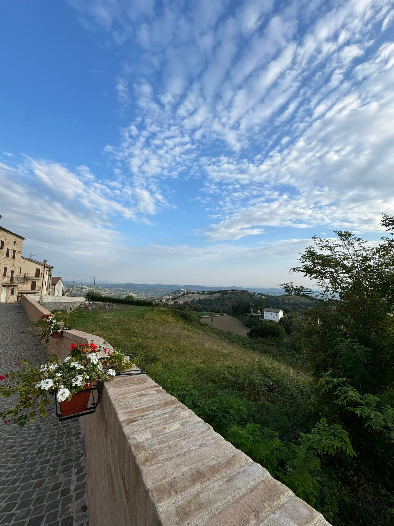 Boutique Hotel Leone & Retreat Centre-酒店景观