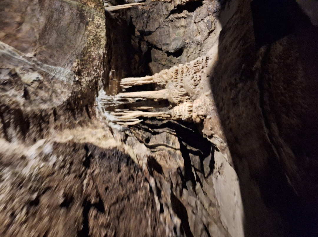 Rivière Soutéraine de Labouiche景点图片
