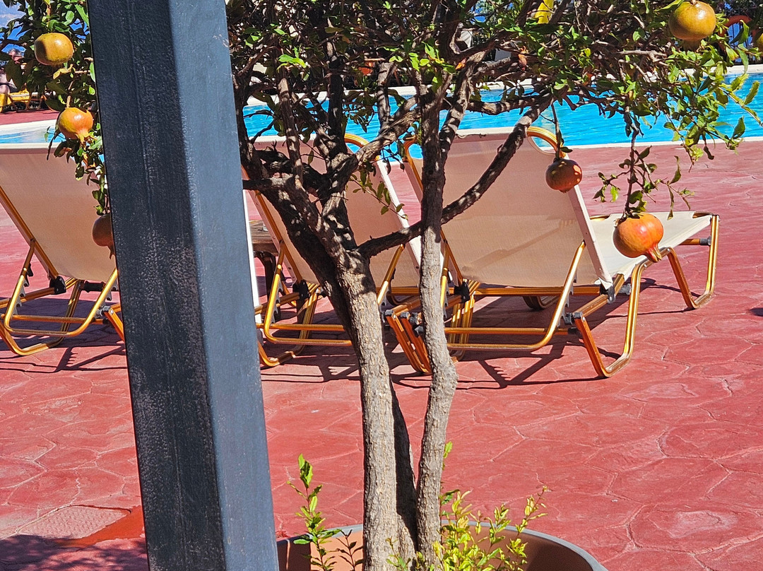 Sunrise Resort Hotel主图