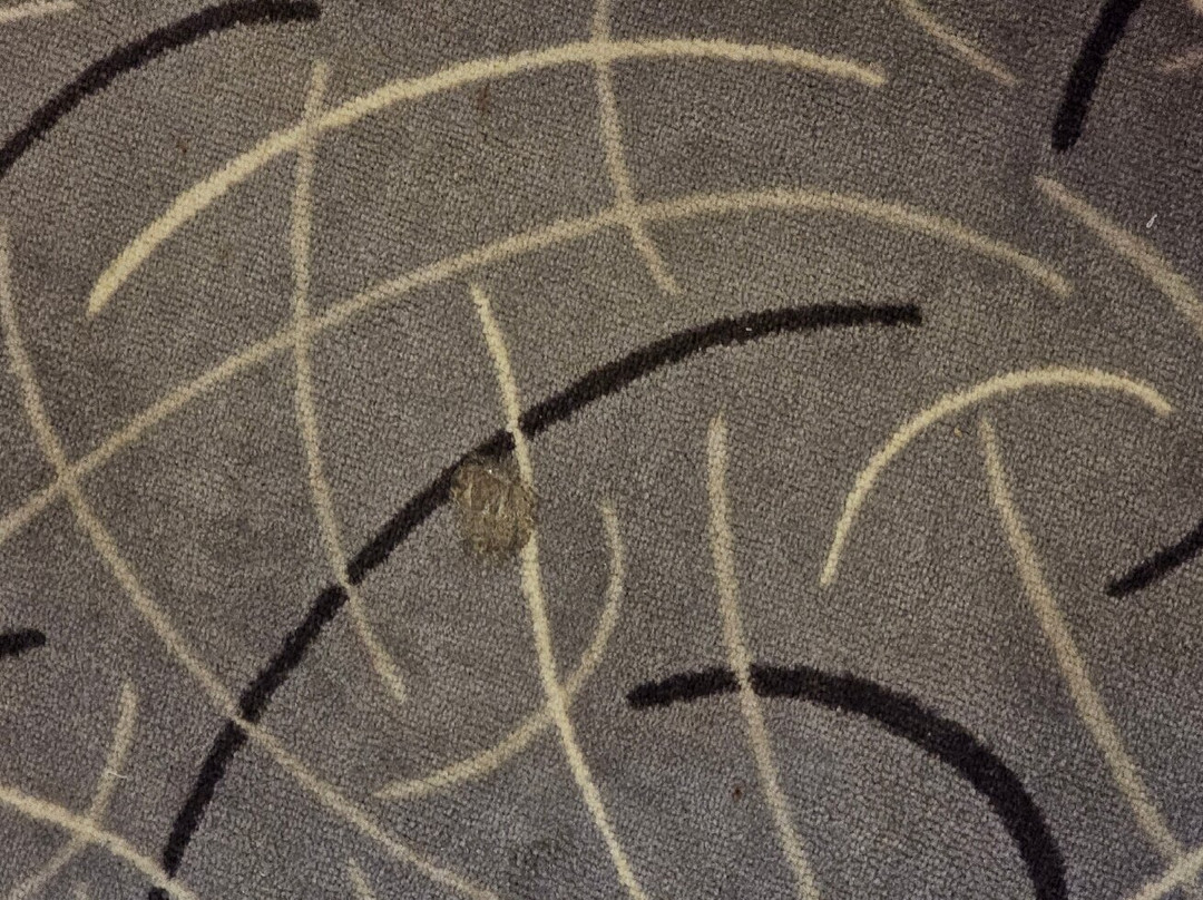 The Conforium Hotel Van主图