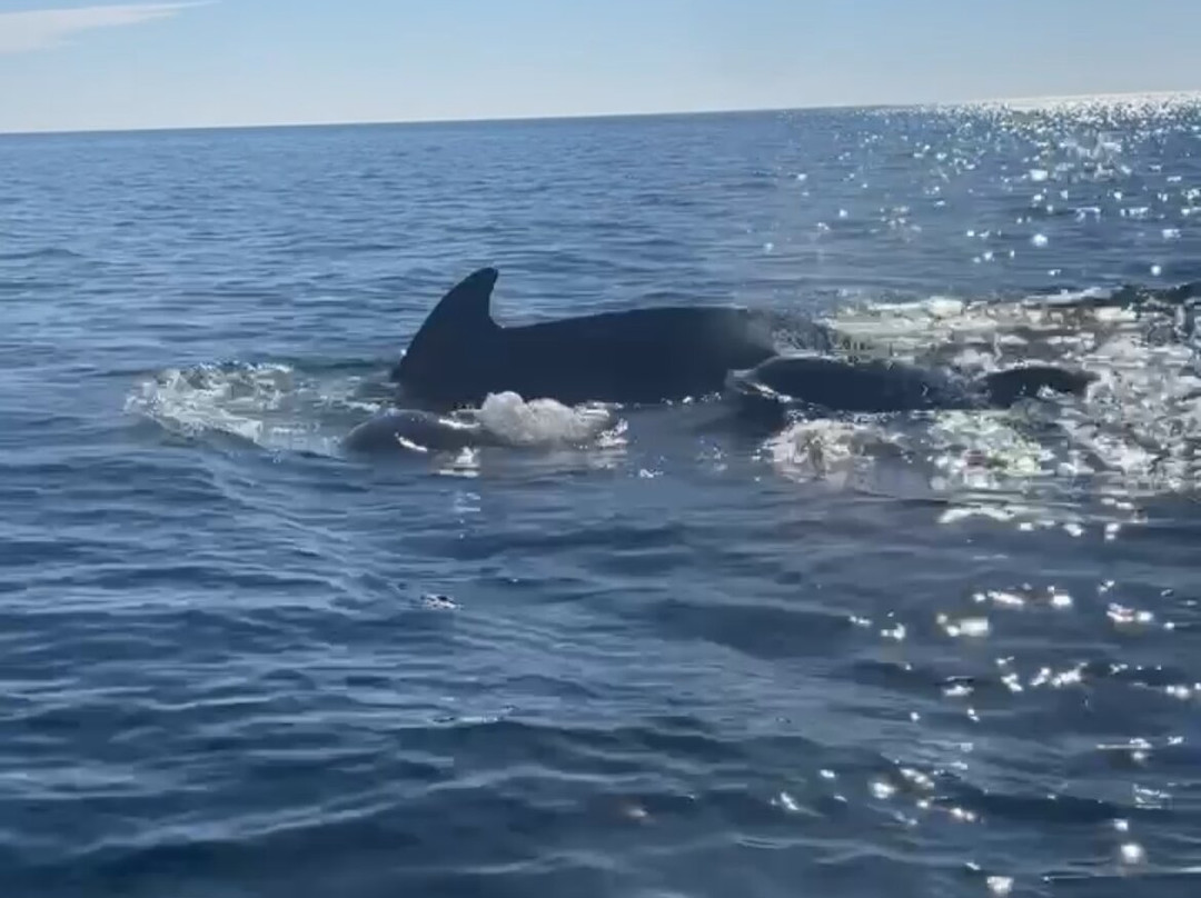 Keltic Express Zodiac Adentures-Ingonish必去景点