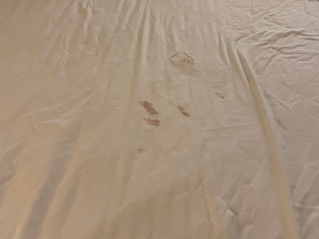 SureStay By Best Western Williams主图