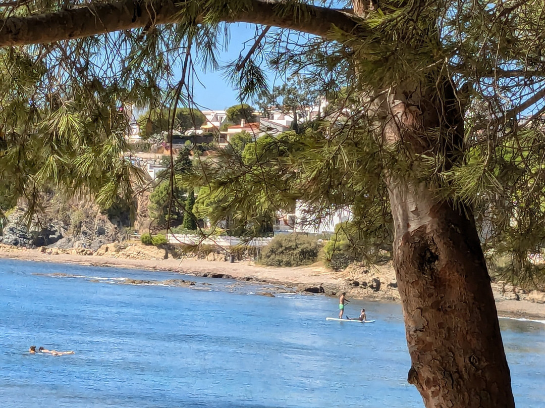 Hotel Carbonell主图