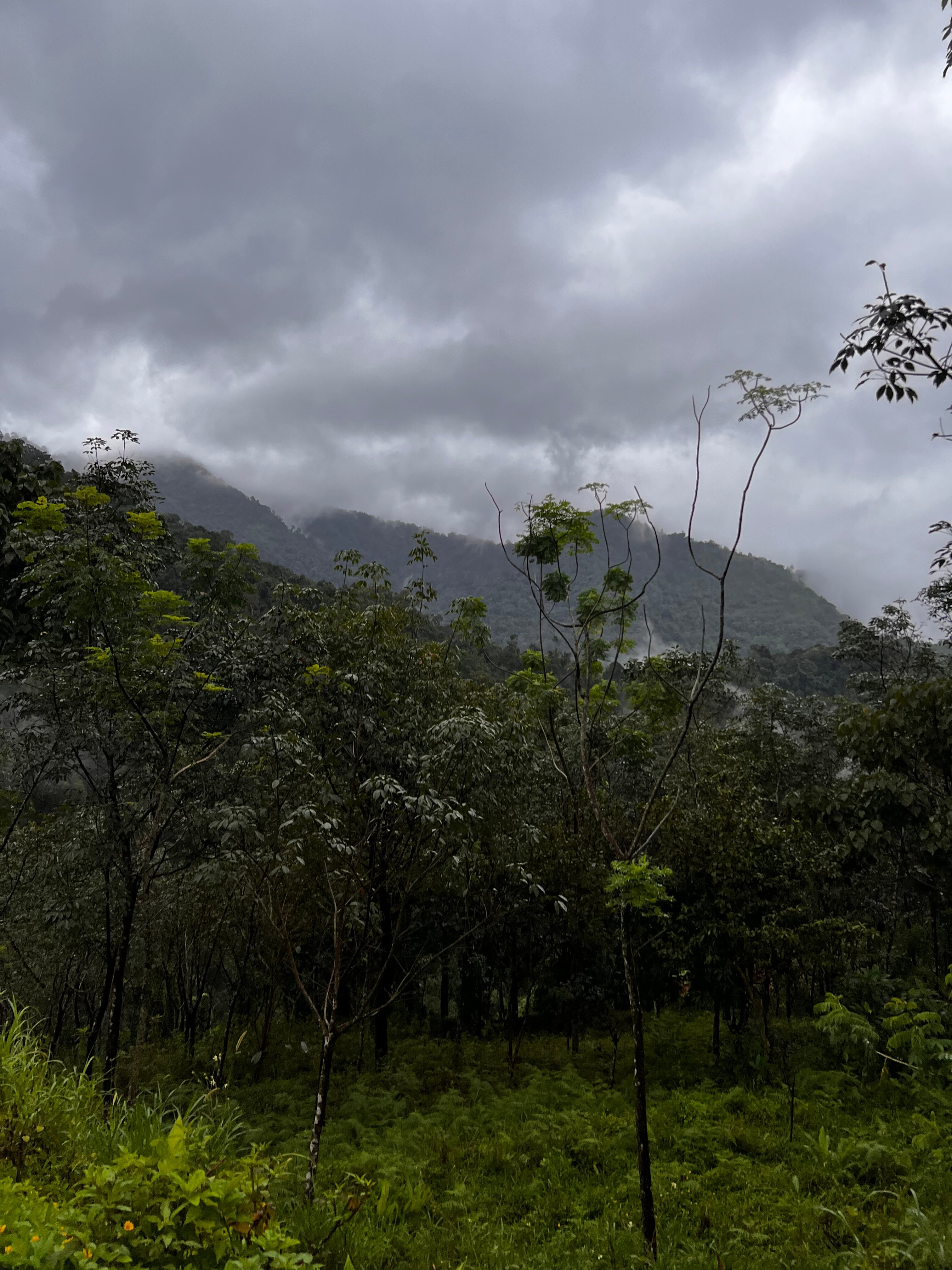 Holistic Stay Eco Resort-官方