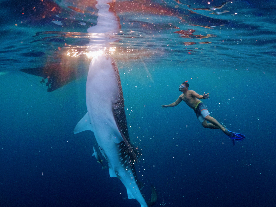 Antonis Buton Tetebatu Tour Guide-Tetebatu必去景点