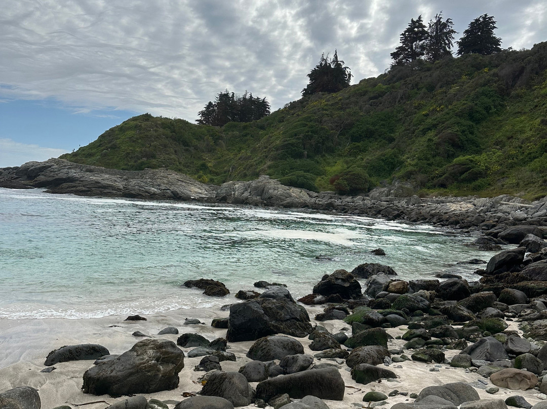 Playa Las Cujas-萨帕亚尔必去景点