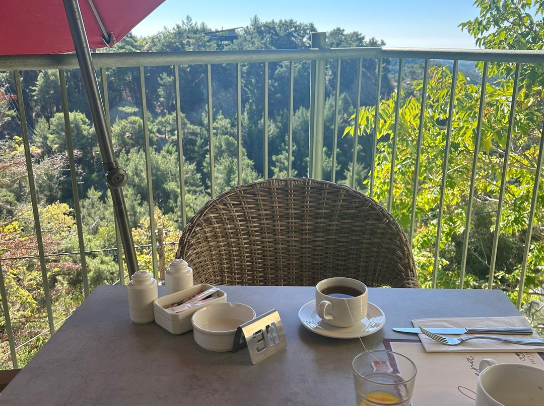 Petit Palais Platres Boutique Hotel主图