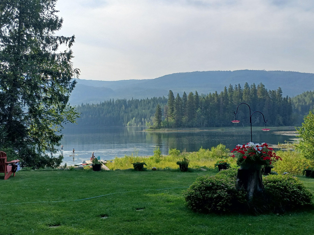 The Lake House主图