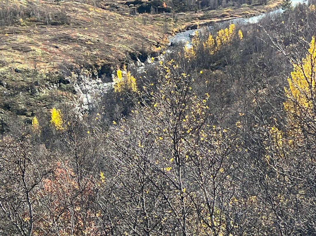 Sognefjellsvegen-Lom必去景点