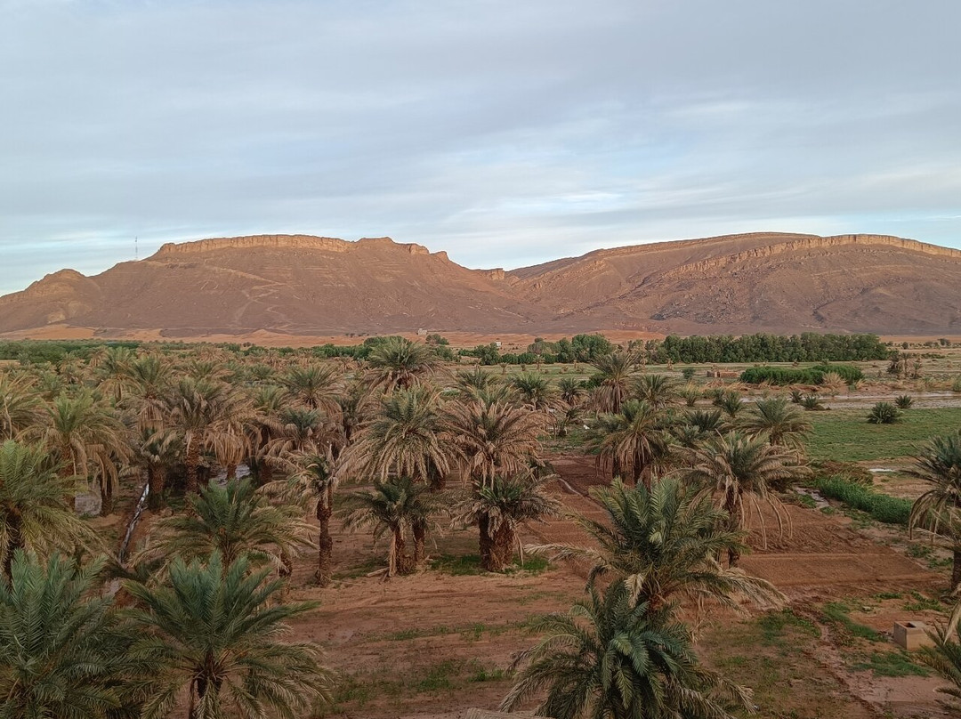 Les Jardins De Tafraout主图