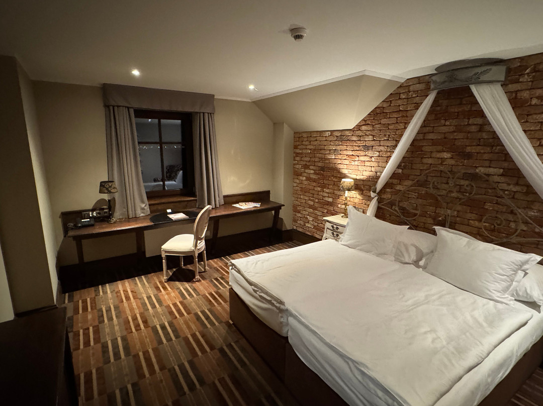 Park Hotel Popovicky主图