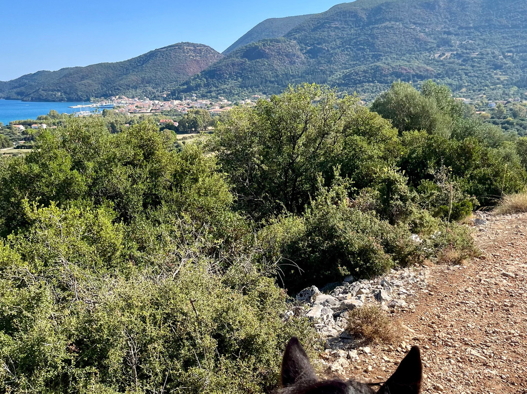 Kefalonia's Horse Riding Stable-萨米必去景点