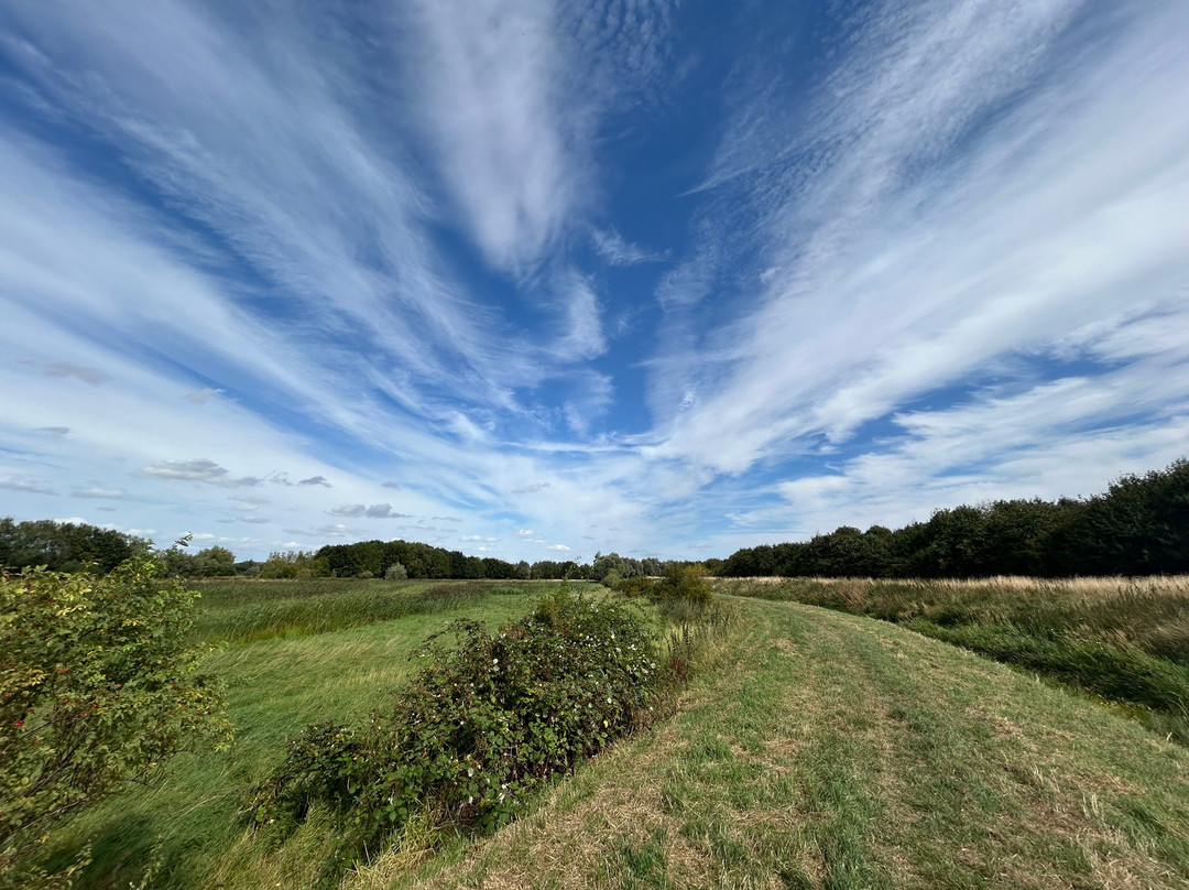 RSPB Fen Drayton Lakes景点图片