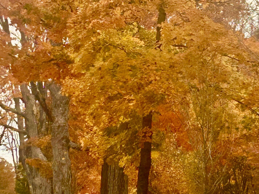 Comfort Inn & Suites Sturbridge - Brimfield主图