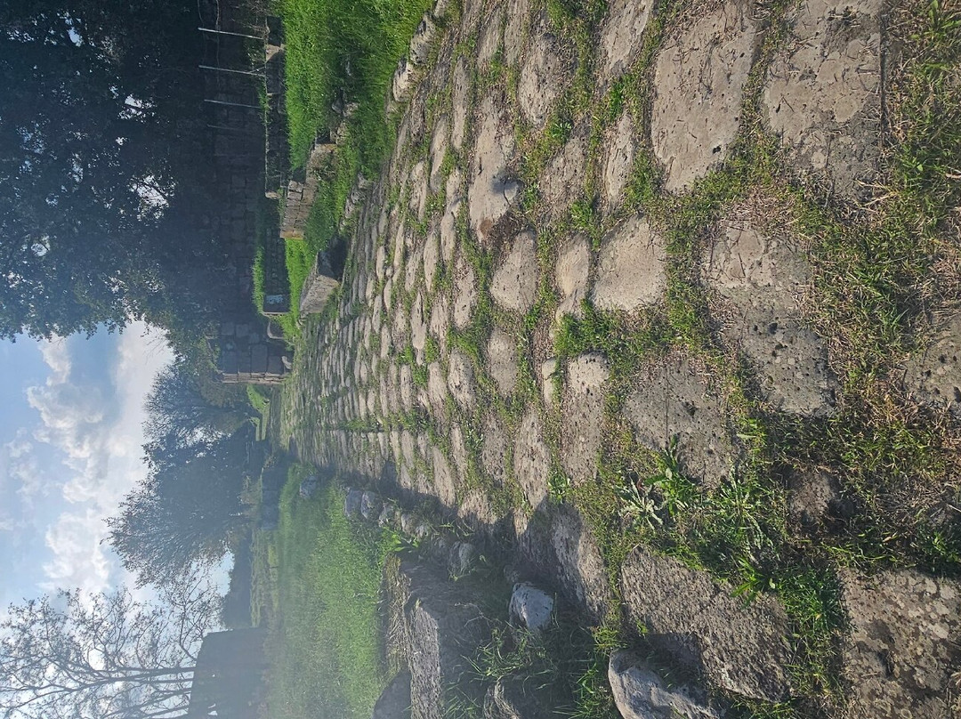 Area Archeologica di Ferento景点图片