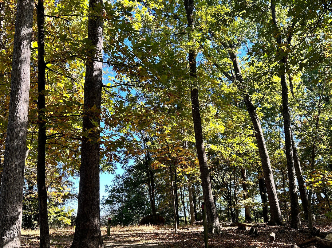 Sky Meadows State Park-Delaplane必去景点