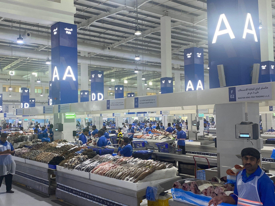 Dubai Deira Fish Souk-迪拜必去景点