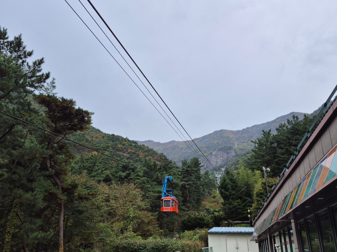 Geumosan Cable Car景点图片