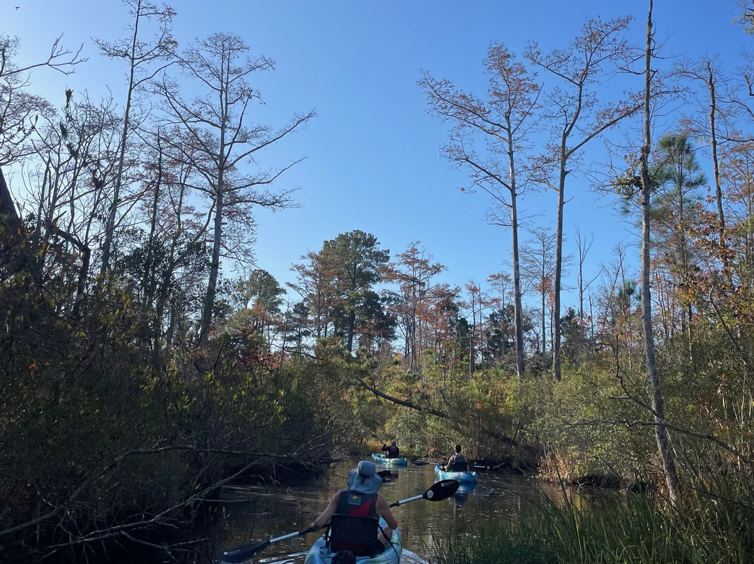 Outer Banks Kayak Adventures景点图片