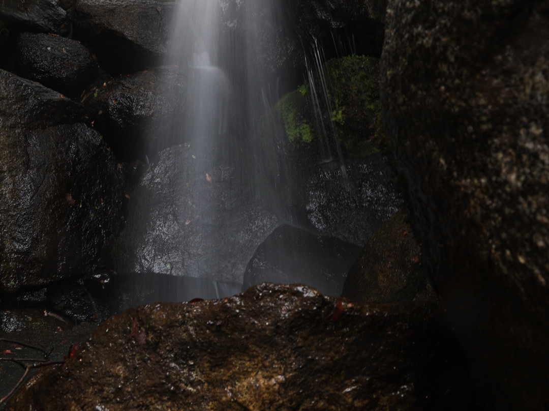 Takamuro Suikouen主图