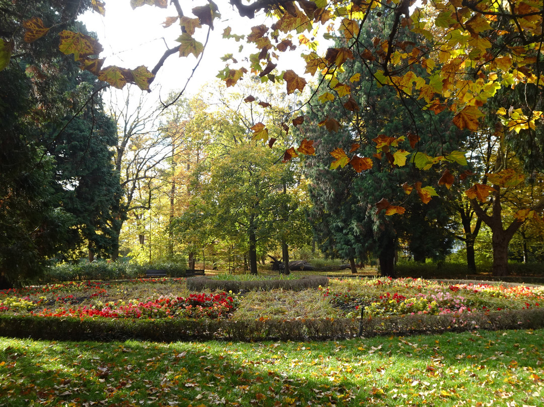 Park Południowy景点图片
