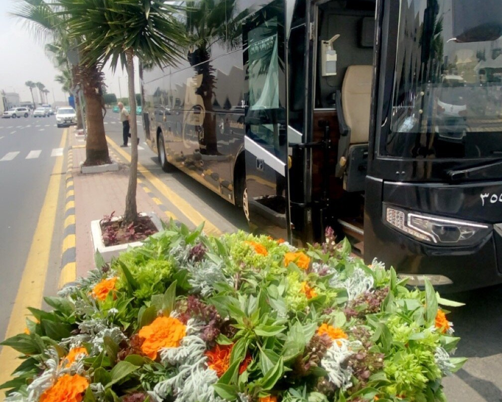 High City-Abha必去景点