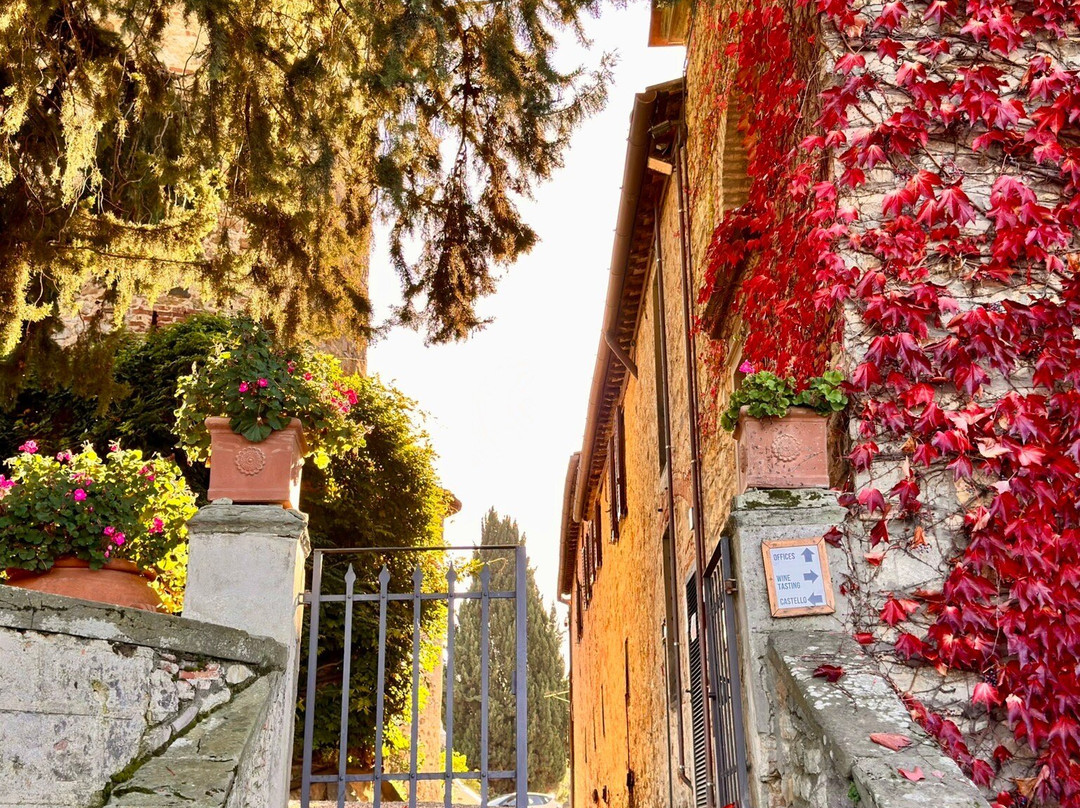 Castello di Gabbiano景点图片