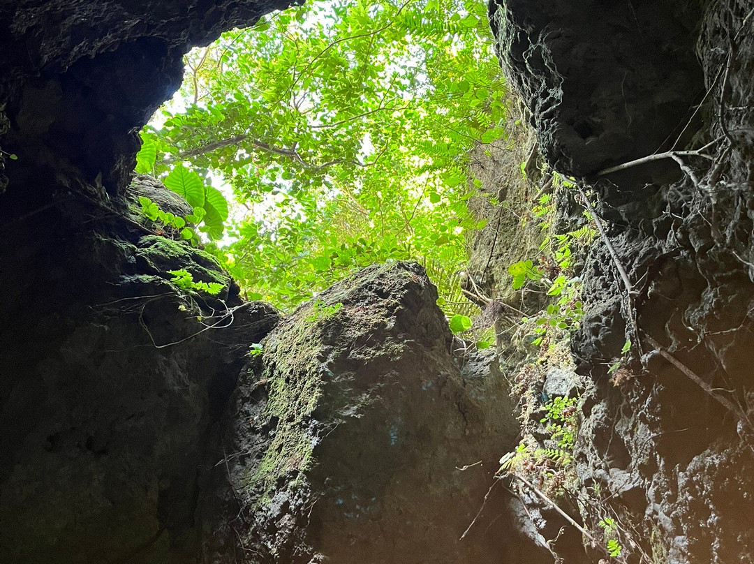 Cave Okinawa-宇流麻市必去景点