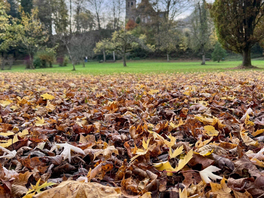 Landschaftstherapeutischer Park Römerkessel-Bad Bertrich必去景点